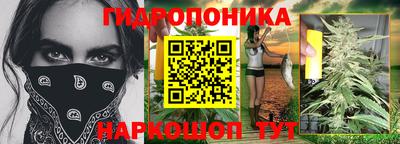 индика Бузулук