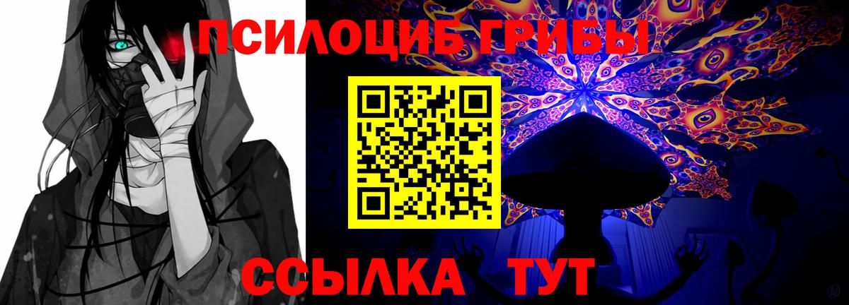 Псилоцибиновые грибы MAGIC MUSHROOMS Мончегорск